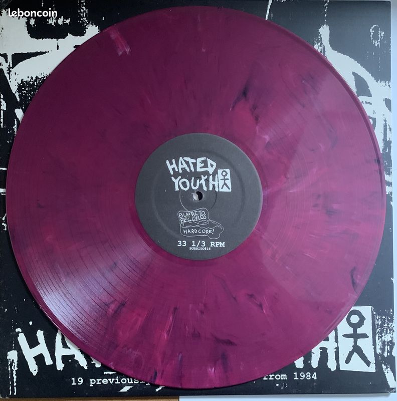 Hated Youth Roach Motel Split LP Hardcore Punk Dark Red Marbled (image 2)