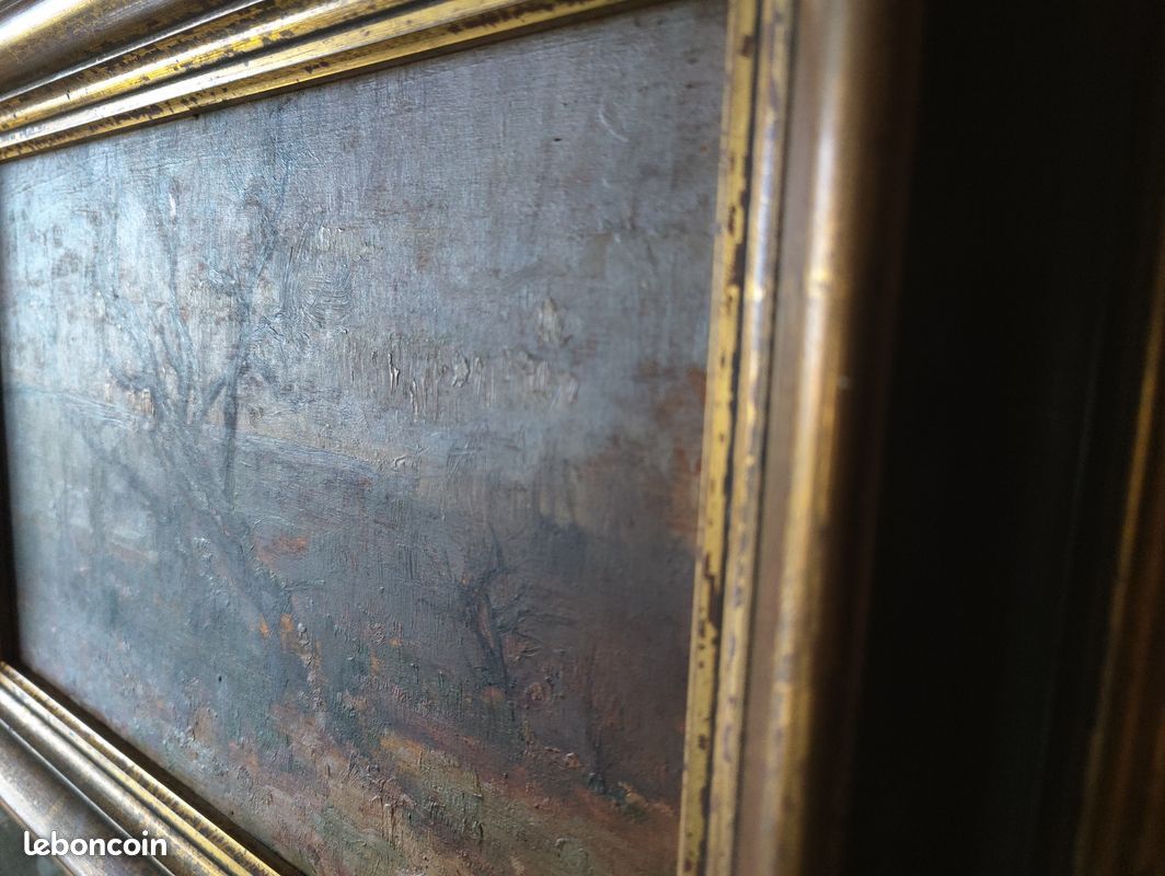 Tableau Huile Sur Panneau étude D'arbre École Française XIXe - Encadré Ancien