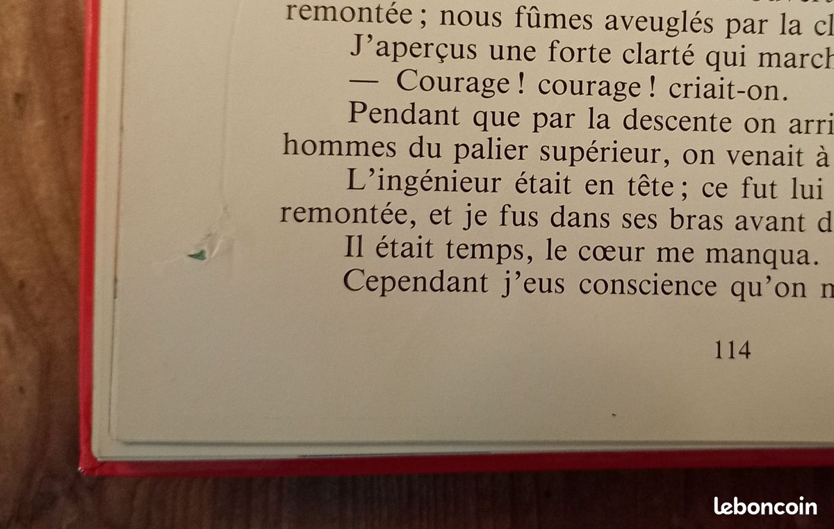 Livre Les aventures de Rémi - TF1 - France Loisirs 1982 Basé sur le dessin animé (image 9)