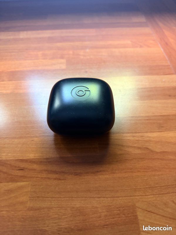 Écouteurs Powerbeats Pro (image 3)