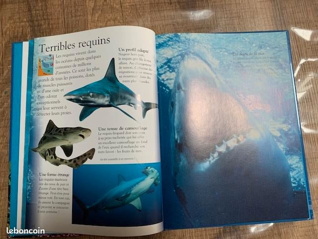 Au fond des Oceans (image 2)