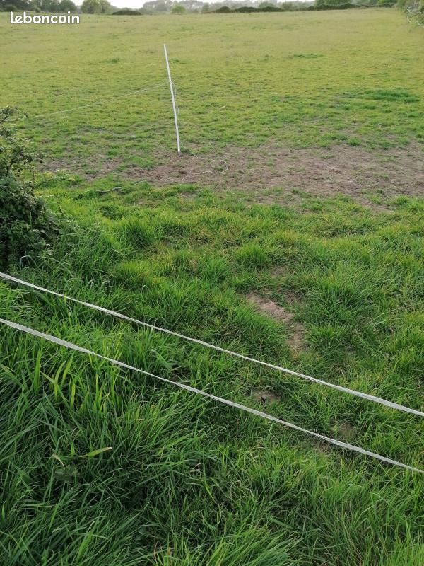 Terrain 508 m² Baud · 55 000 €