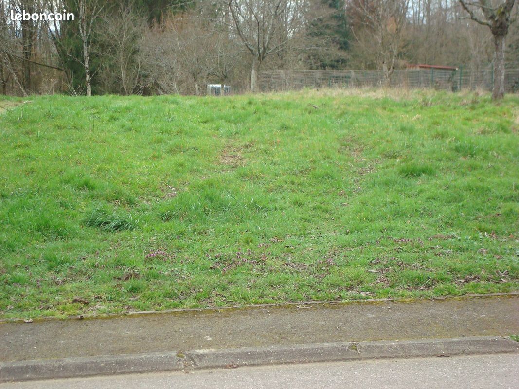 Terrain constructible 1600 M2 · à Saint-Maurice-aux-Forges · 35 000 €