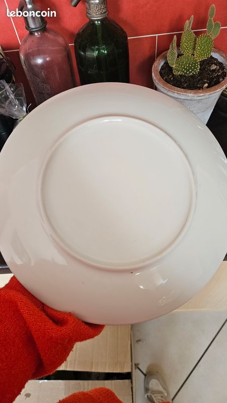 Lot assiettes toucan (image 3)