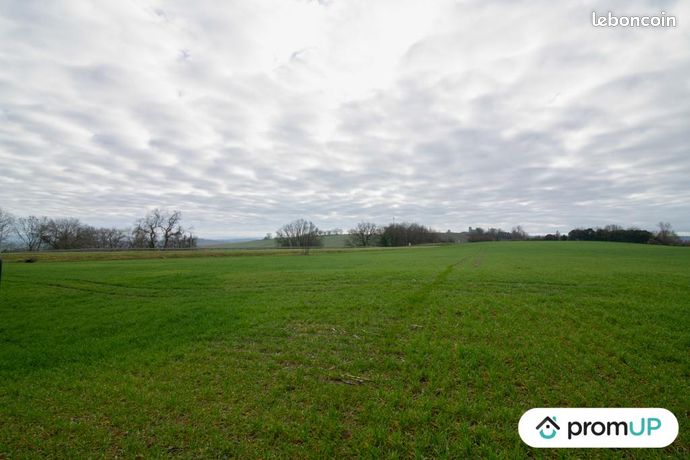 Terrain agricole 6 000 m² Sempesserre