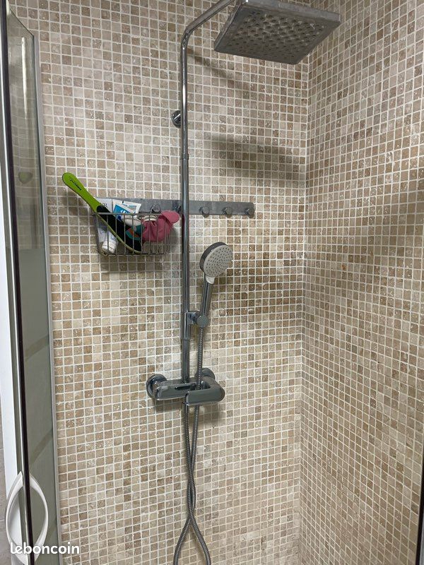 Mitigeur lavabo et barre de douche (image 3)