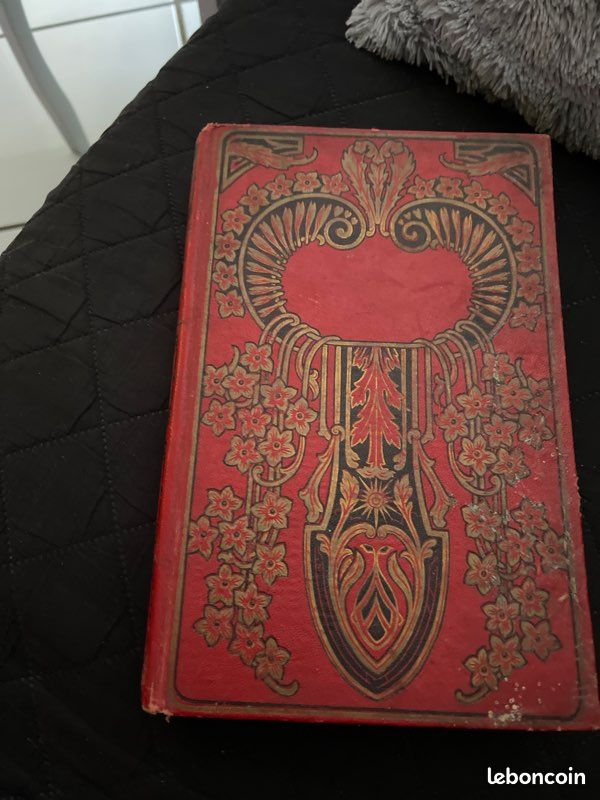 Livre très ancien la famille naufragée pas de livraison (image 1)