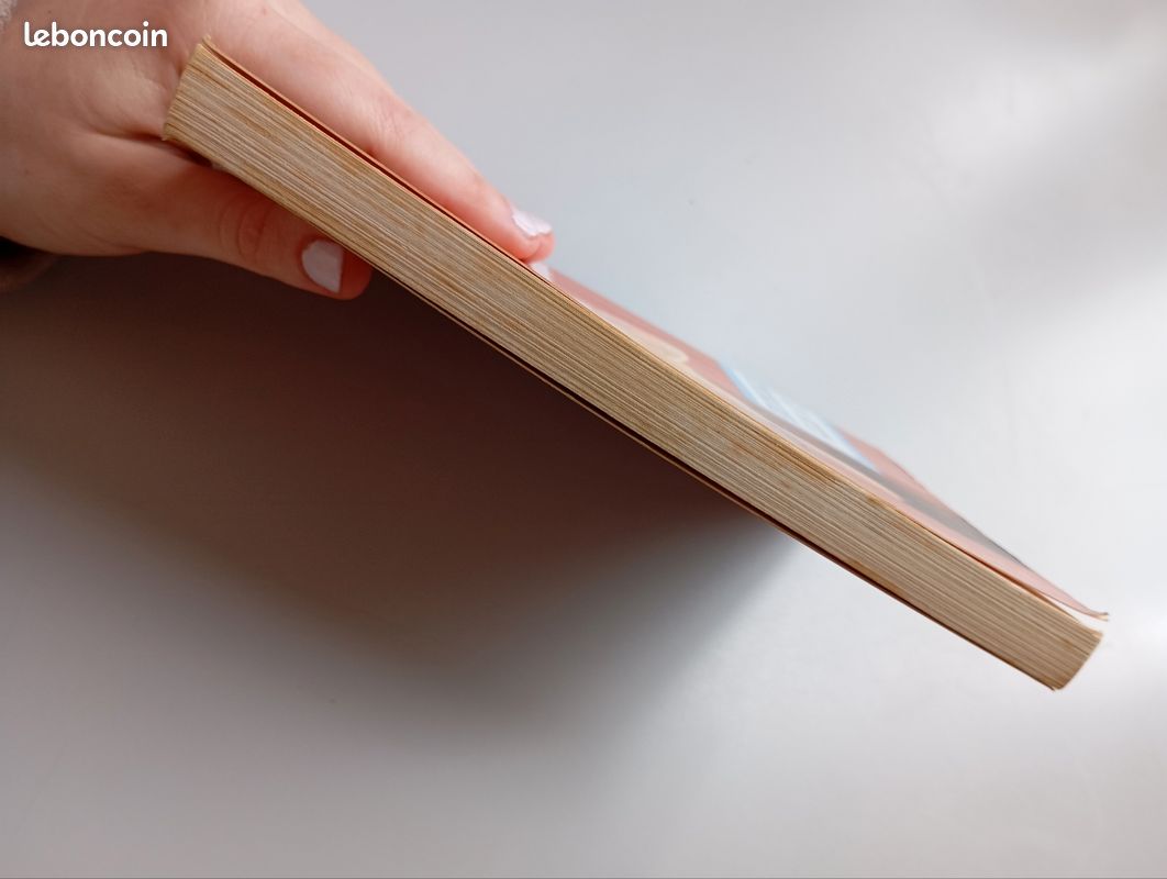 Livre "sans abris" Les petits vétérinaires (image 4)