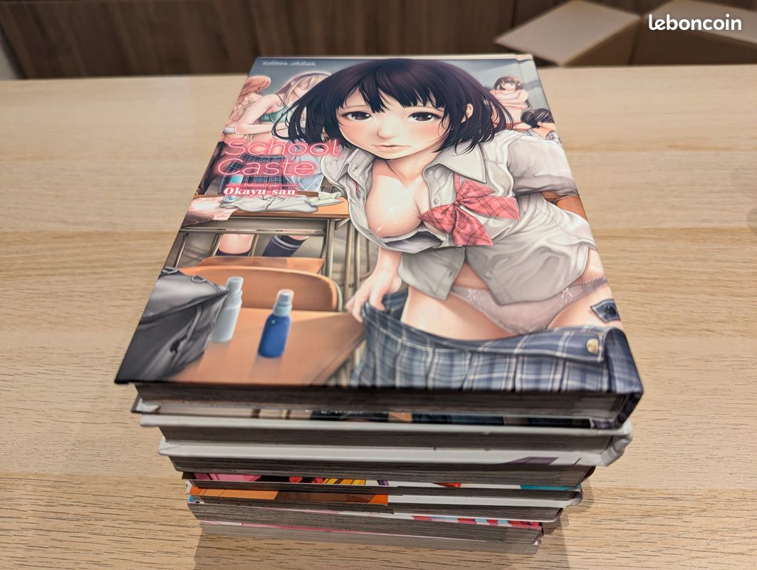 Mangas érotique - Livres