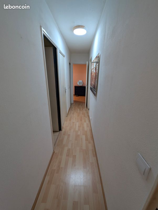 Appartement T3-T4 style Loft étage élevé allée de la Pelouse Grenoble 38100 (image 13)