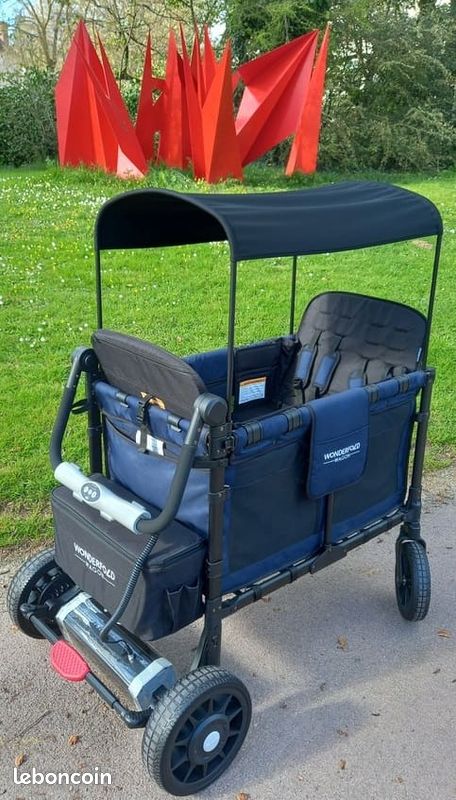 Wagon W4 Elite + Pack Motorisation Familidoo 👶💪 (image 3)