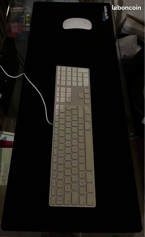 Tapis de souris Gaming ROCCAT 85x33cm (image 1)