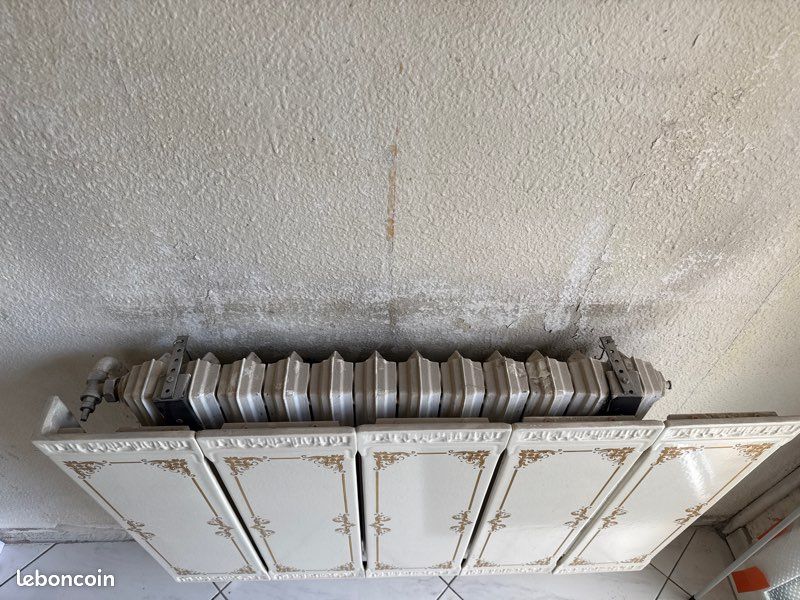 Cache radiateur en faillence (image 4)