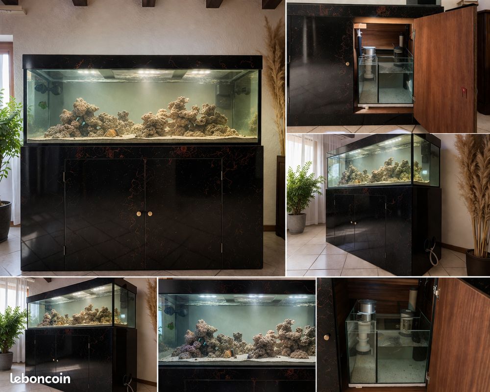 Planche en bois Marin + Meuble (image 7)