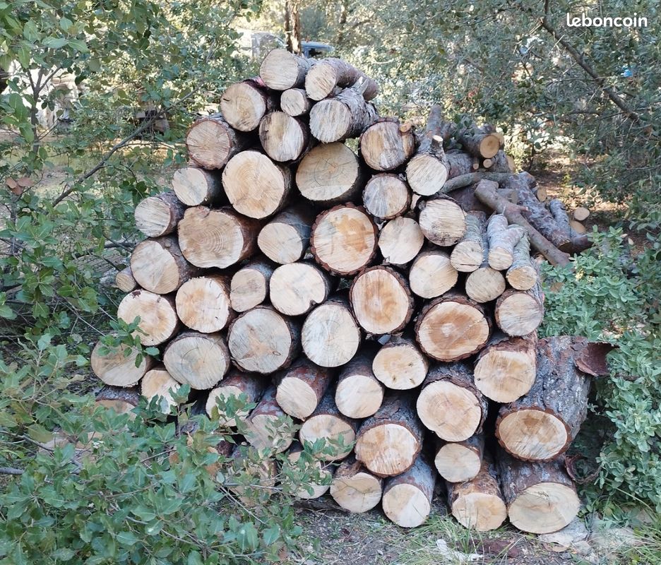 Bois de chauffage pin sec Bricolage — free download
