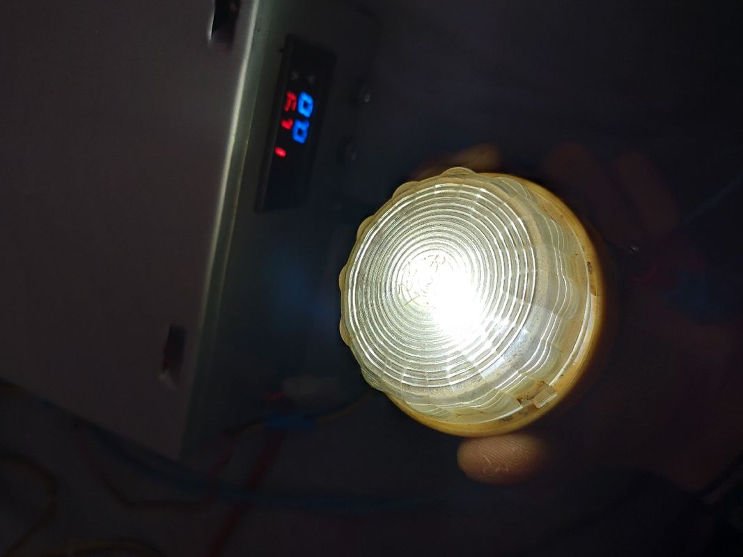 Ampoule LED Plafonnier 4l - Équipement auto