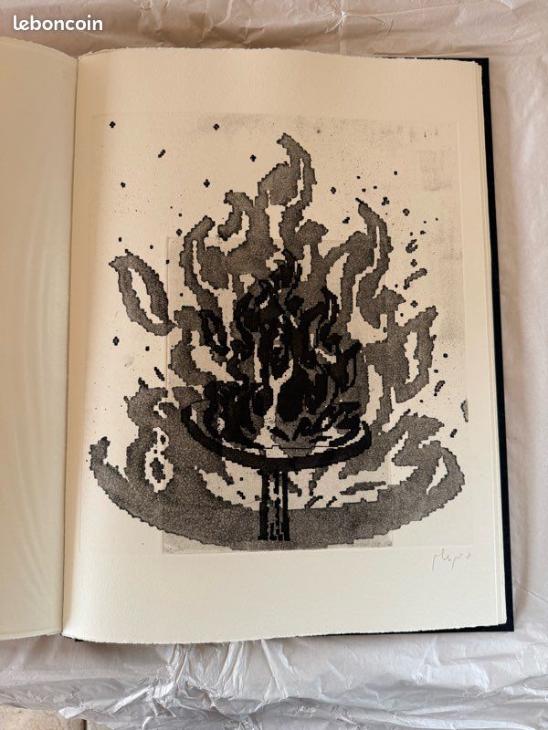 Livre d’art (image 13)