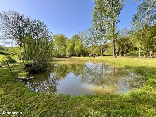 Terrain avec étang, lac