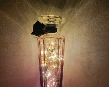 Avril Lavigne Wild Rose Perfume Cosmetics Avril Lavigne Forbidden