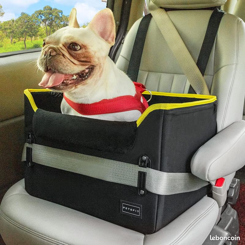 Siège Rehausseur Voiture Pour Chien - Mousse Mémoire De Forme, Housse Lavable - Pour Chiens < 16 Kg