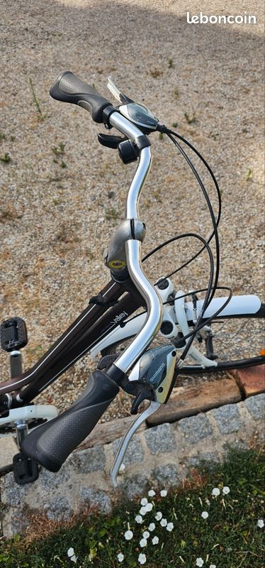 Vélo VTC Valley Nakamura Urban Naturee (image 5)