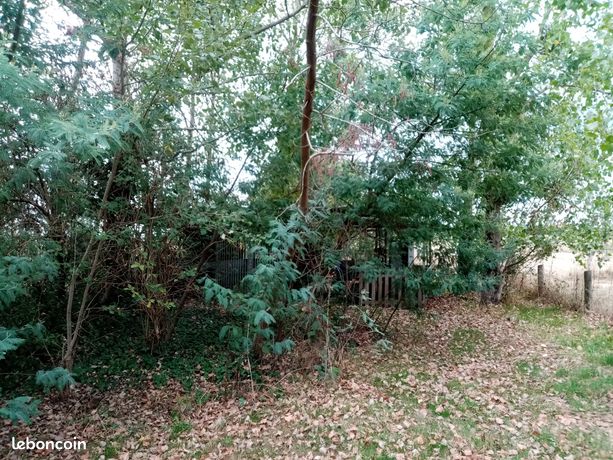 Ferme 9 pièces 205 m²