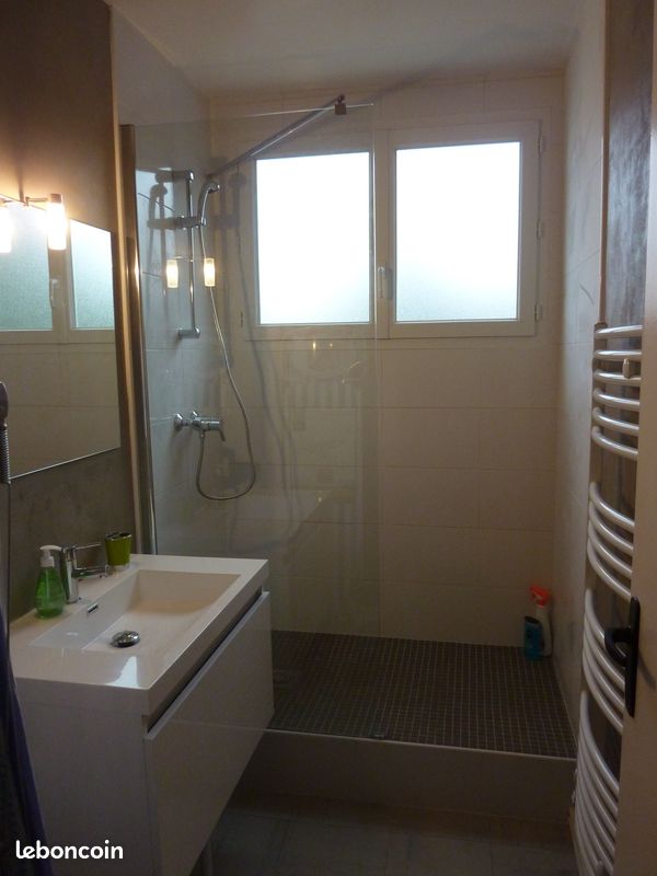 Appartement meublé F1 bis - Limoges 87100 (image principale 2)