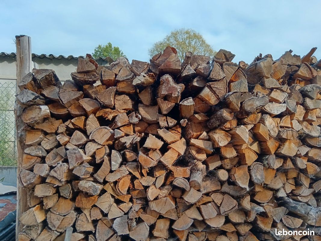 Bois de chauffage 55 euros (image 1)
