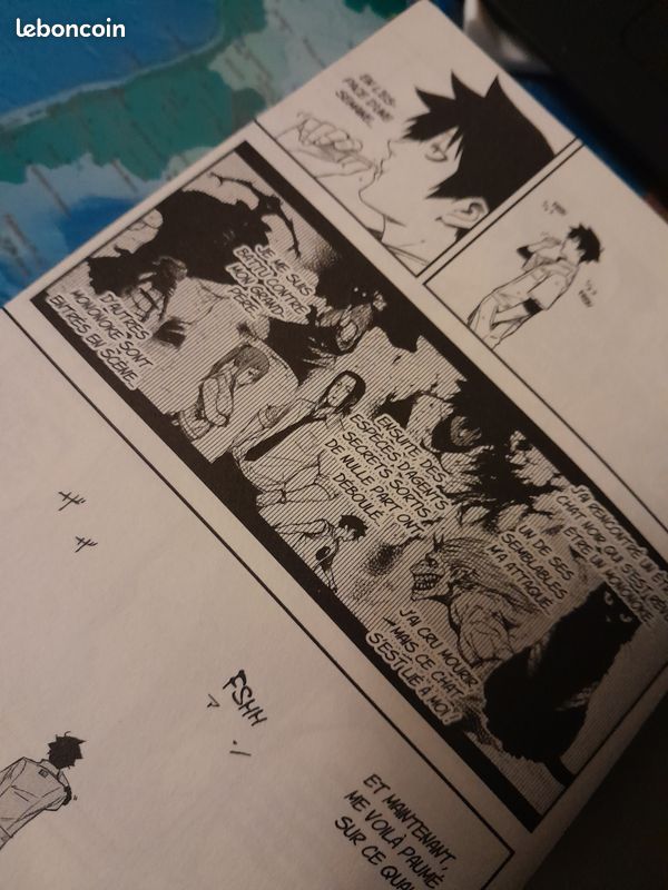 Black torch tome 1 et 2 (image 5)