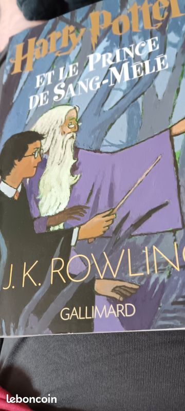 Livre Grand Format Harry Potter (image 1)