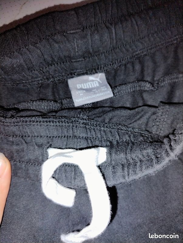 Short puma (image 2)