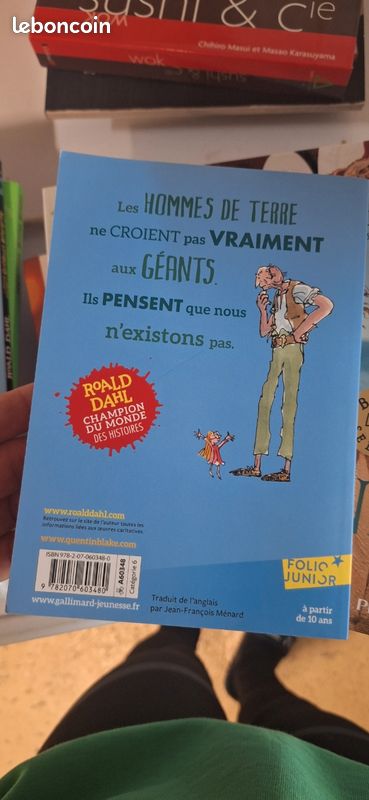 Livre roald dahl LE BGG (image 2)