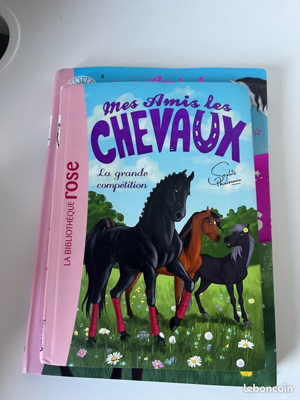 Lot 2 livres Mes Amis les Chevaux — Sophie Thalmann (image 2)