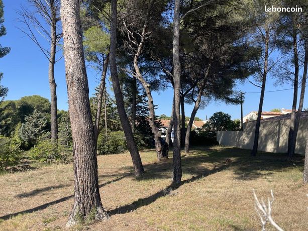 Terrain 614 m² Saint Mitre Les Remparts