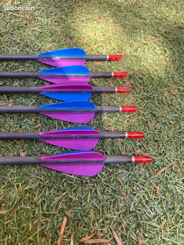 Lot De 11 Flèches Tir À L'arc Easton 1206 G 68cm