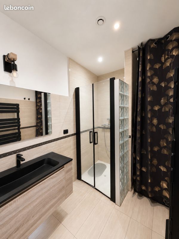Charmant T2 terrasse, jacuzzi, parking (image 7)