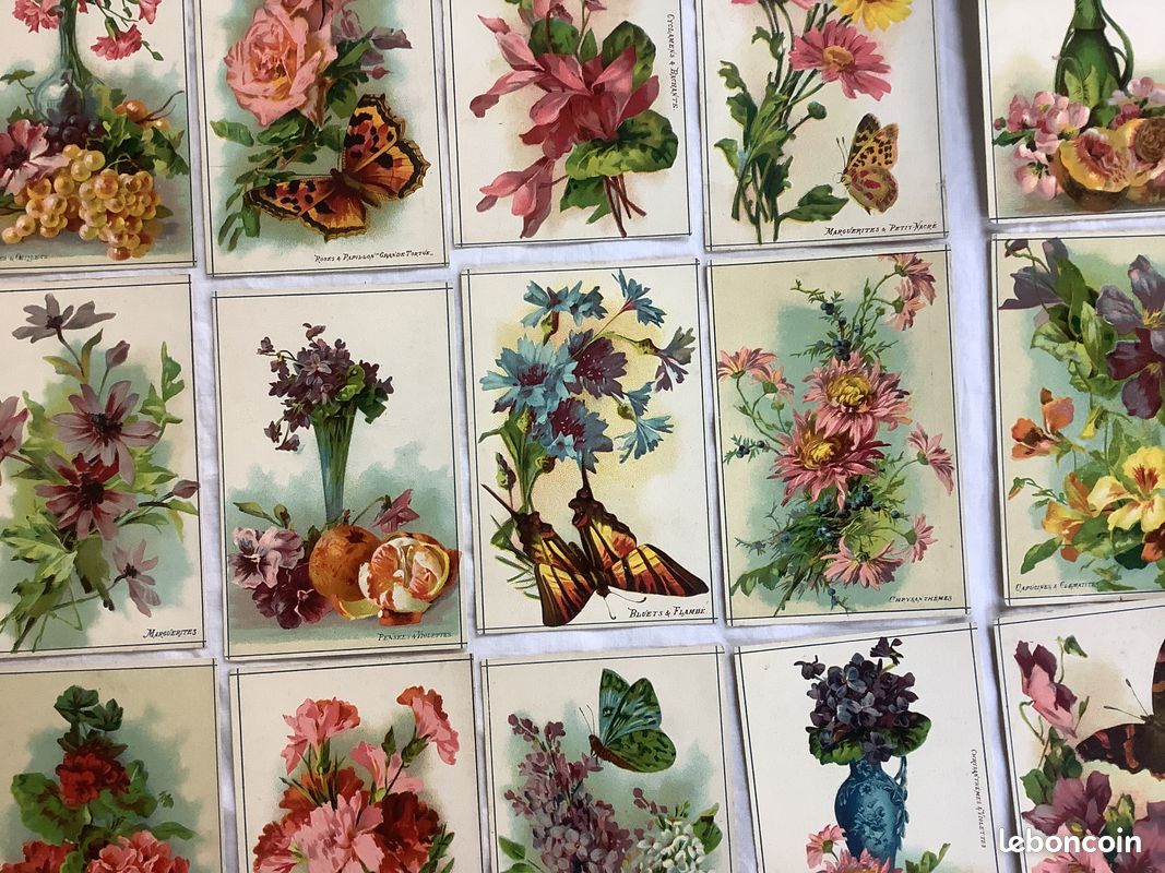 XIX ème siècle 3 cartes en carton ( pas chromo ) pour école poupée