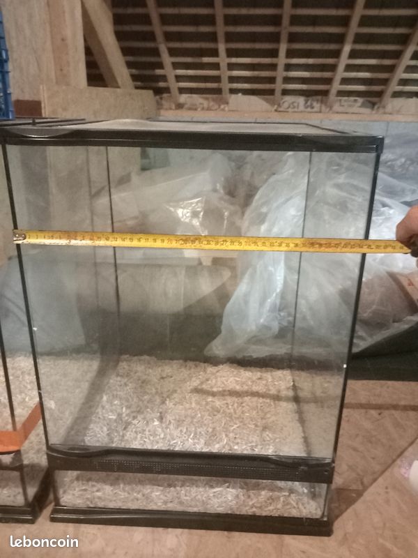 Box reptiles (image 3)