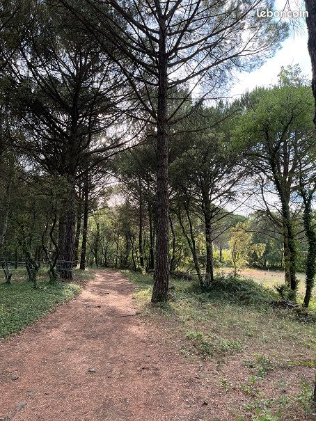 Gîte 3 personnes avec piscine en bordure des Cévennes (image 13)
