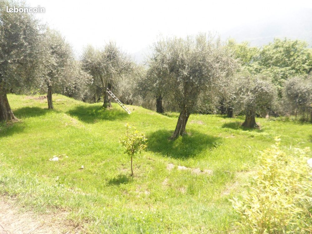 Terrain 1107 m² · à Contes · 1 107 m² · 175 000 €