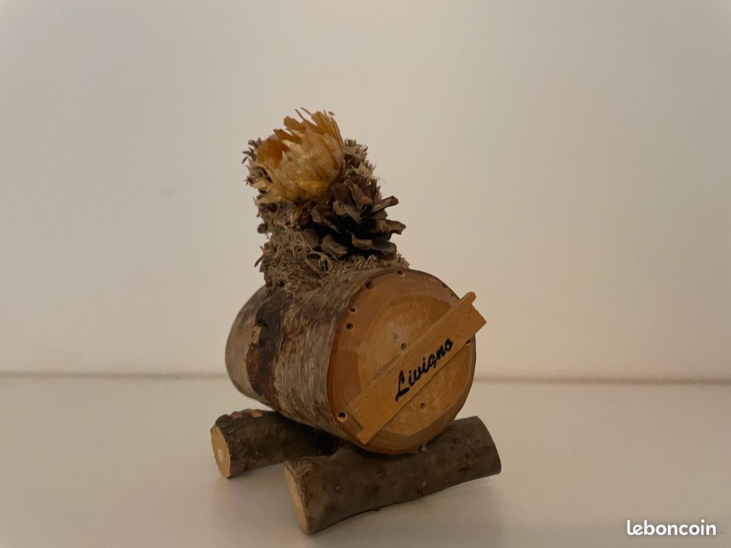 Souvenir Montagne (image 1)