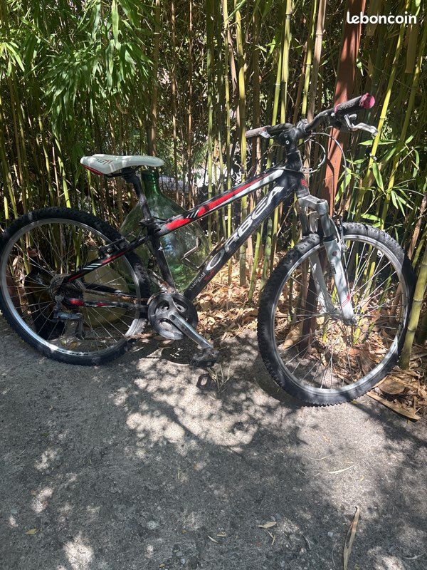 Vélo musculaire (image 1)