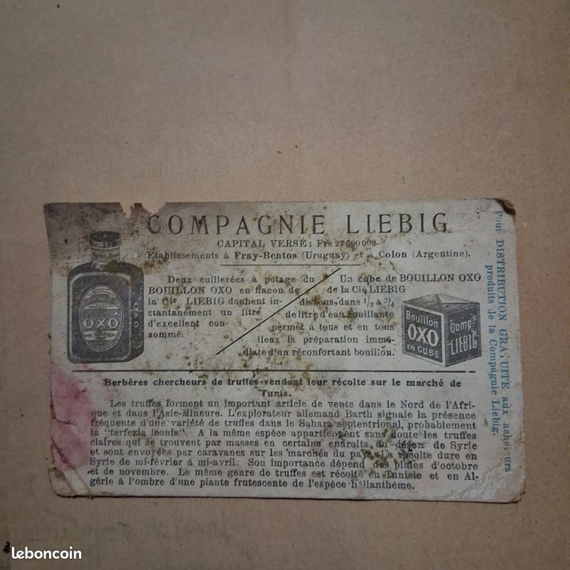 Image liebig berbères (image 2)