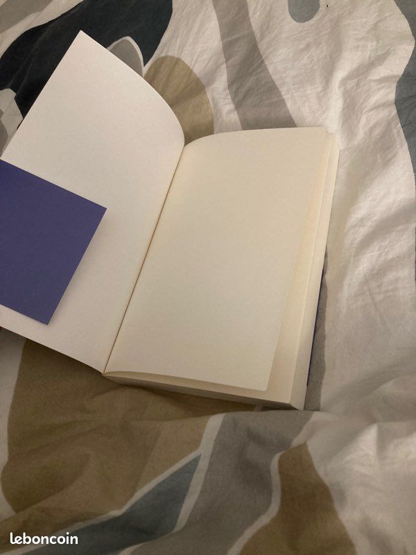 Livre La promesse de Marie De Lattre, état neuf (image 4)