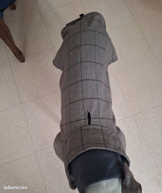 Manteau chien (image 3)