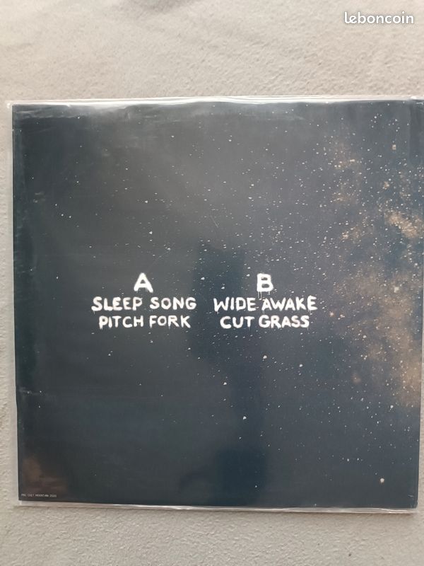 Vinyle Cult Mountain (image 2)