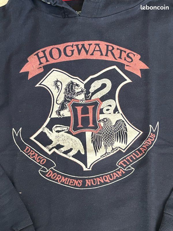 Sweat à capuche Mur Poudlard Express Harry Potter | true