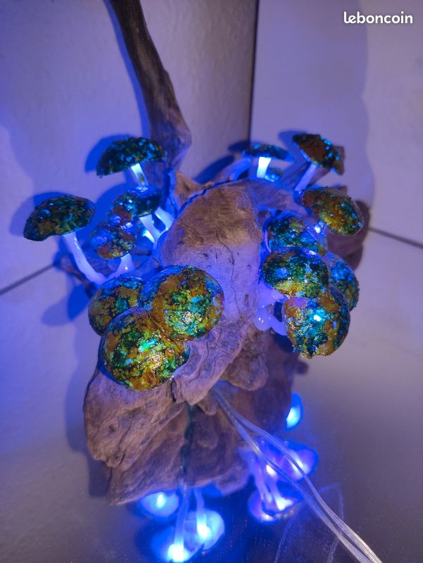 Luminaire sur bois (image 6)