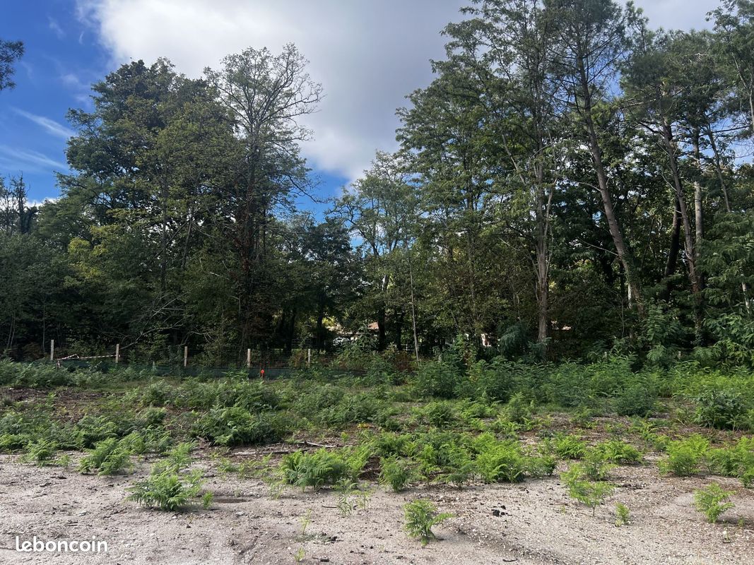 Terrain 650 m² · à Cestas · 235 000 €