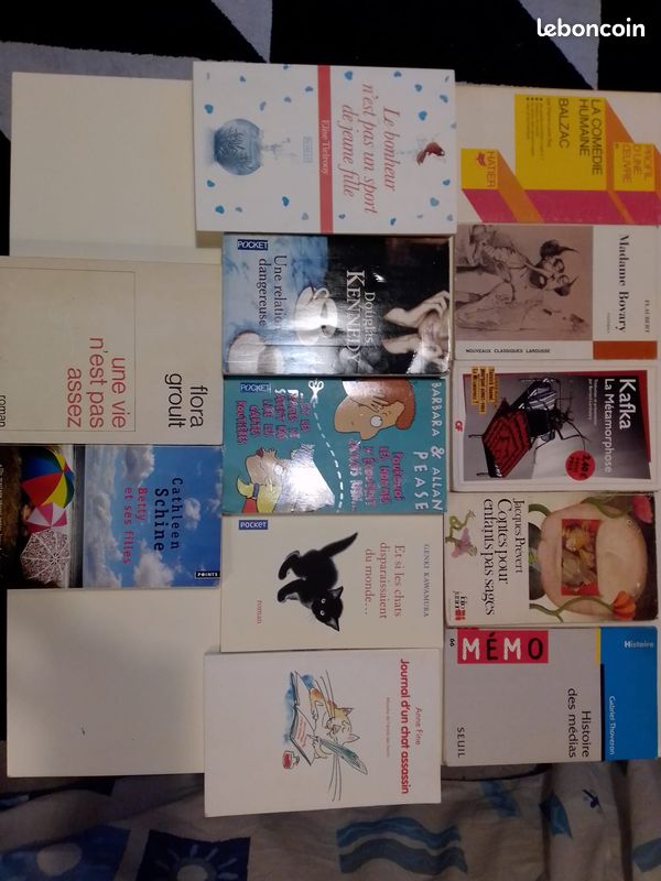 Lot de livres classiques et romans faciles à lire (image 1)